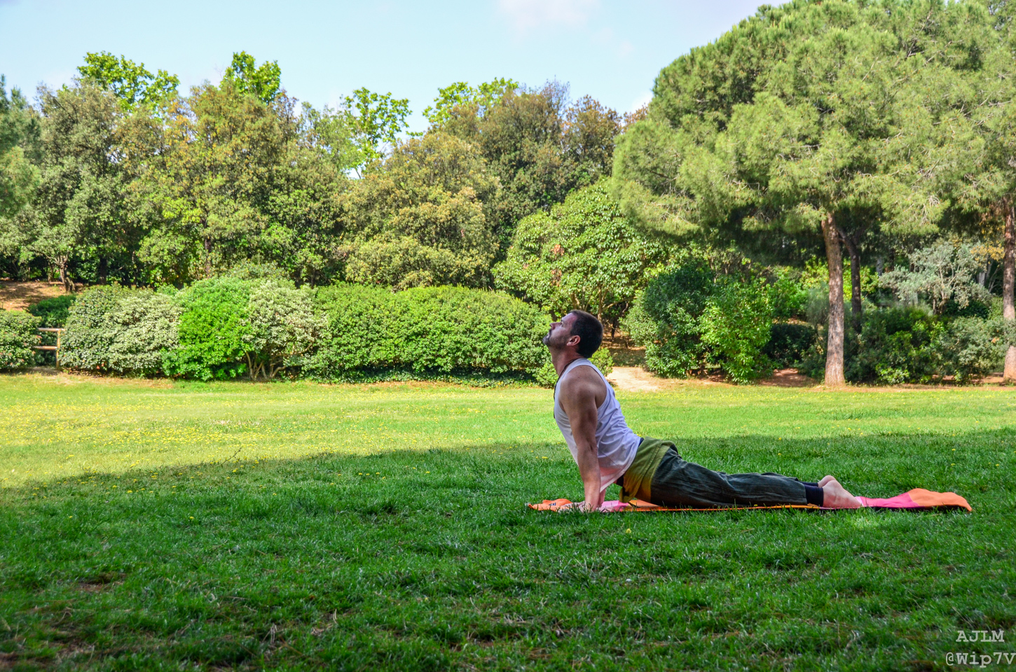 Vinyasa Yoga con ToniVYT Vinyasa Yoga con ToniVYT