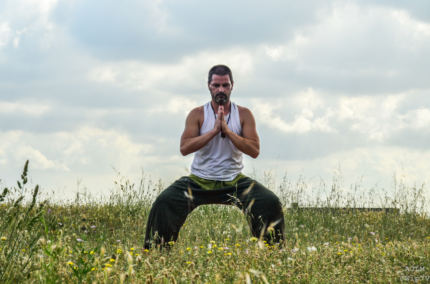 tonivyt vinyasa yoga